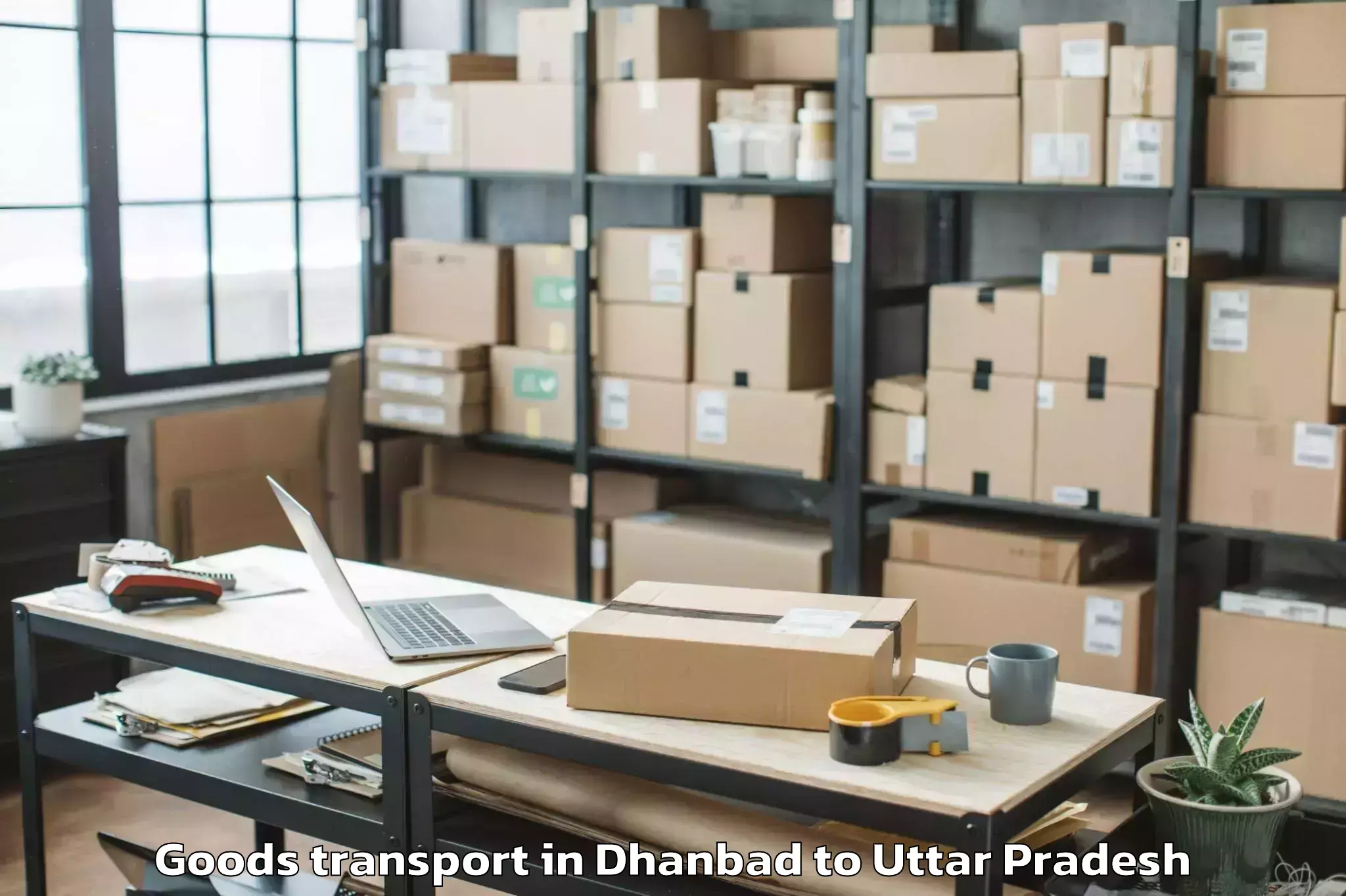 Top Dhanbad to Chandra Shekhar Azad Universit Goods Transport Available